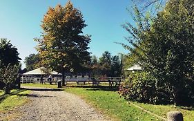 Agriturismo La Fornace Centro Ippico